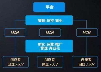 MCN機構是什么意思？